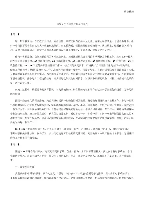 预算员个人年终工作总结归纳报告