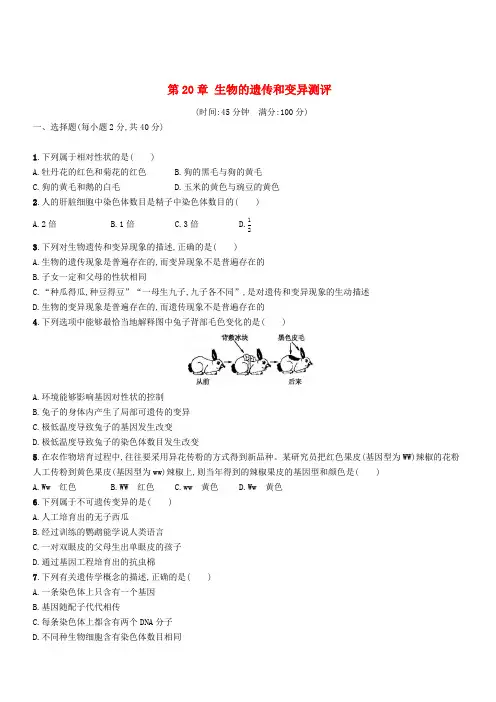 新版北师大版八年级生物上册第20章生物的遗传和变异测评(附答案)