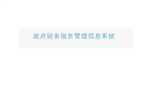财政部门及单位政府财务报告管理信息系统