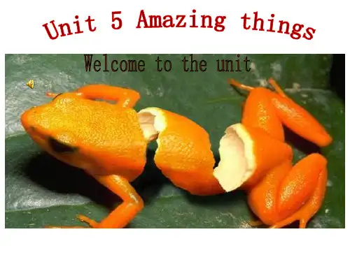 牛津译林英语七年级下册Unit5Welcome(共30张PPT)