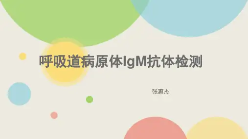 呼吸道病原体谱抗体检测