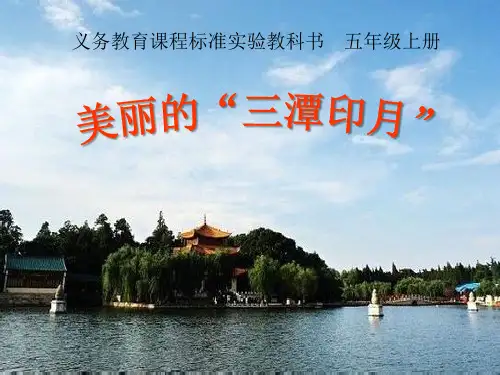 《美丽的“三潭印月”》课件3