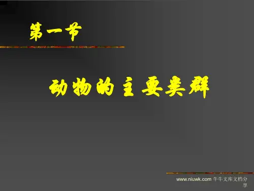 生物的主要类群
