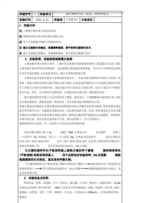 微生物的分离纯化综合实验