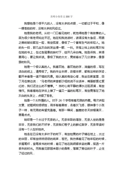 吾师小传作文800字_初二作文_