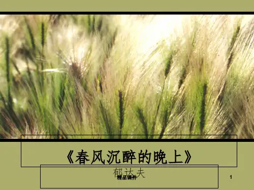 春风沉醉的晚上ppt课件
