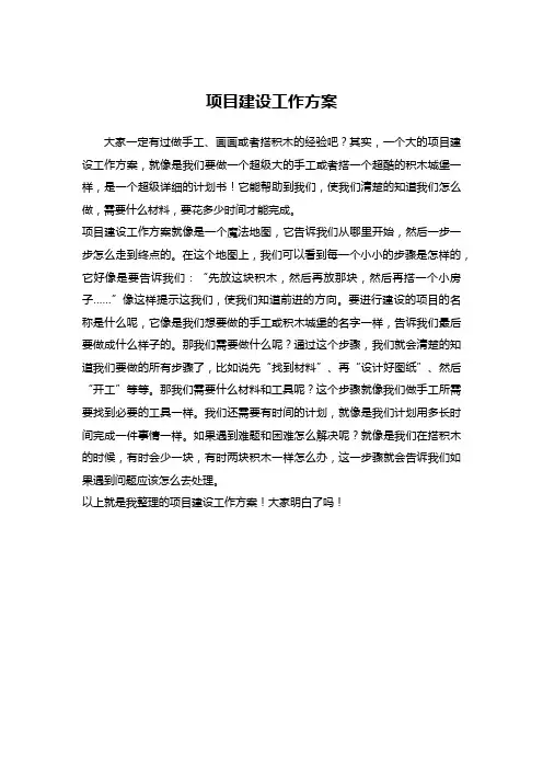 项目建设工作方案