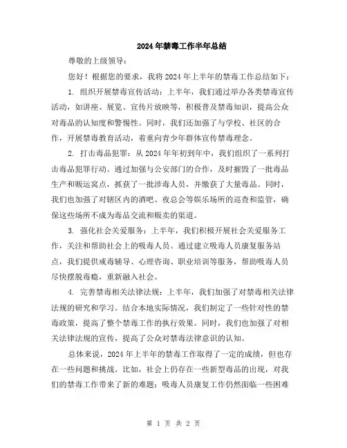 2024年禁毒工作半年总结