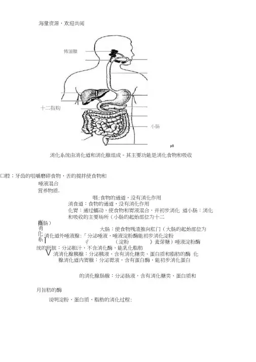 (word完整版)七年级下册生物图