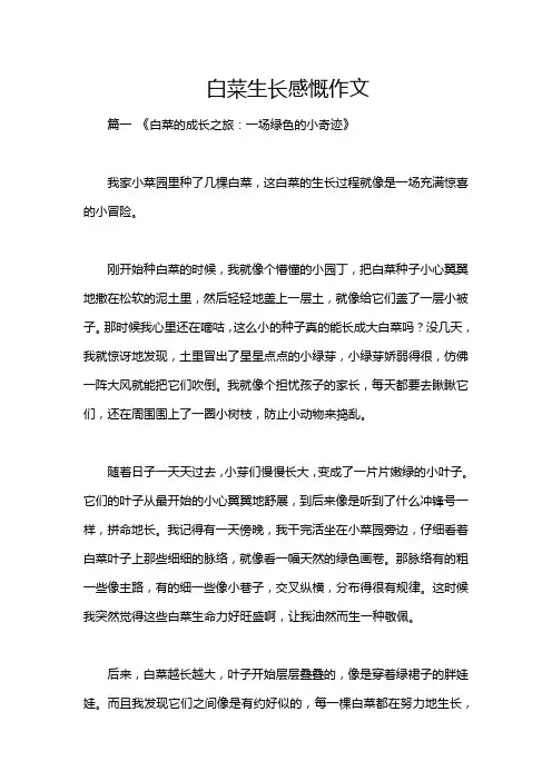 白菜生长感慨作文