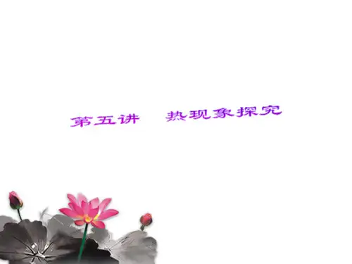 初中物理总复习热学部分PPT课件