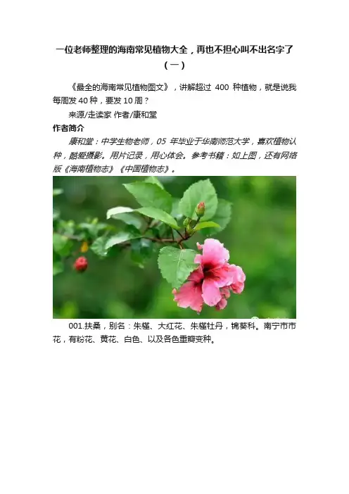 一位老师整理的海南常见植物大全，再也不担心叫不出名字了（一）