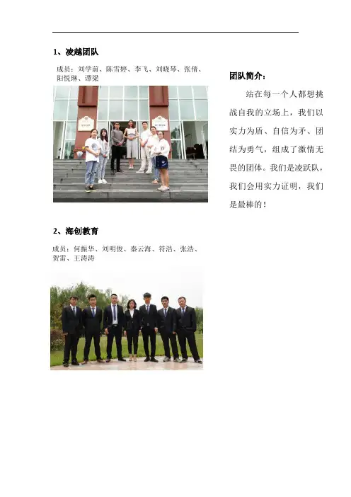 创业大赛参赛团队简介
