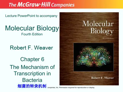 分子生物学
