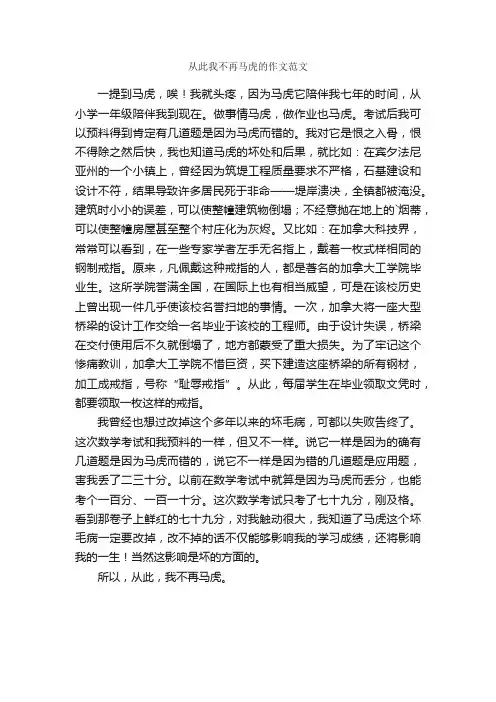 从此我不再马虎的作文范文