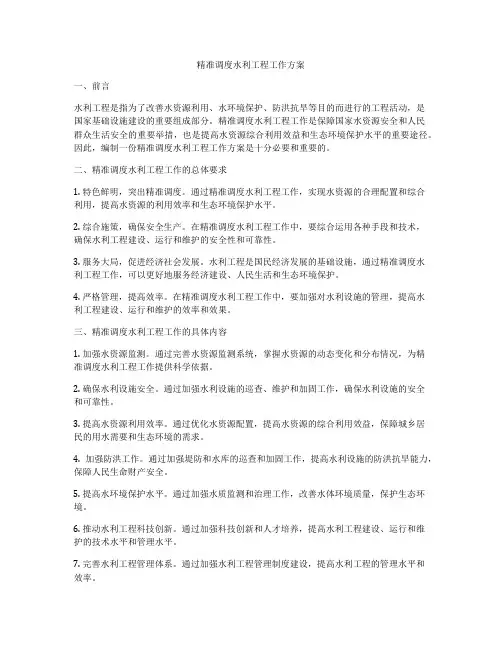精准调度水利工程工作方案