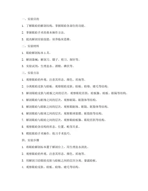 眼睑解剖实验报告