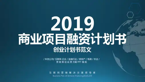 物联网商业计划书ppt