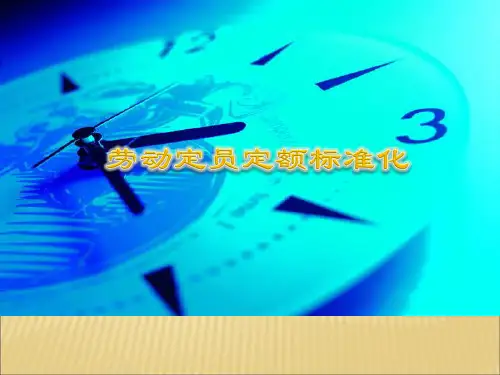 劳动定额定员方案