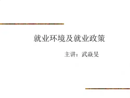 就业环境及就业政策培训教程PPT(34张)