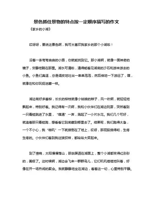 景色抓住景物的特点按一定顺序描写的作文