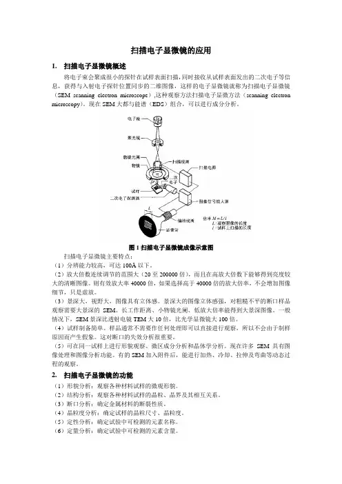 扫描电子显微镜(SEM)的应用