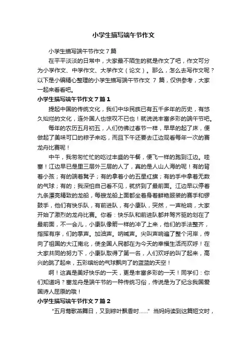小学生描写端午节作文7篇