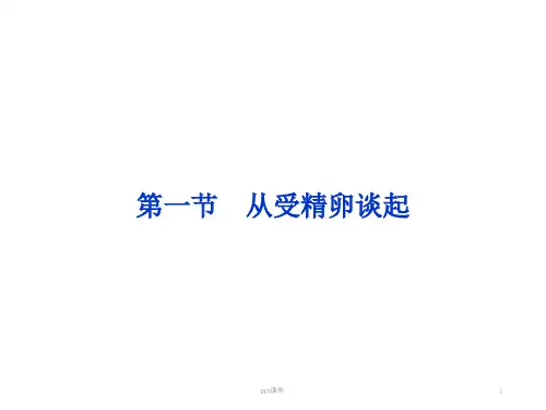 从受精卵谈起ppt课件