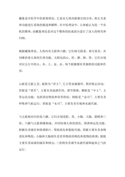 藏象——五脏与六腑的关系