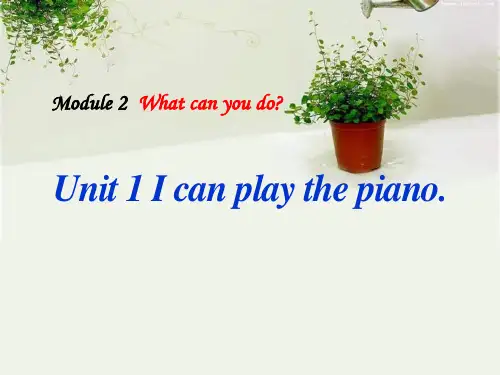 《Icanplaythepiano》WhatcanyoudoPPT课件2