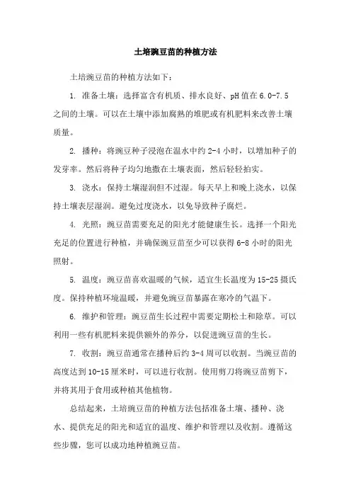 土培豌豆苗的种植方法