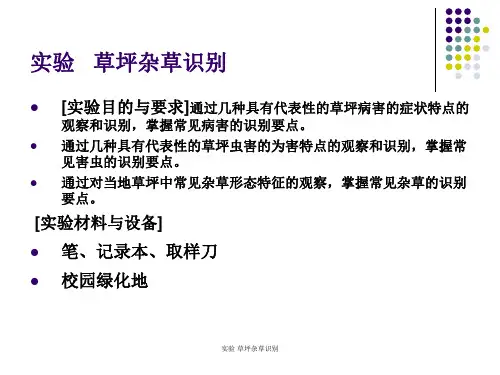 实验 草坪杂草识别 ppt课件