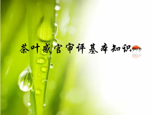 6、茶艺师培训之—茶叶感官审评