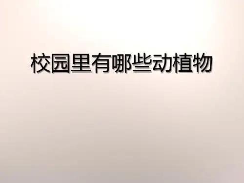 《校园里有哪些动植物》寻访校园里的动植物PPT课件二