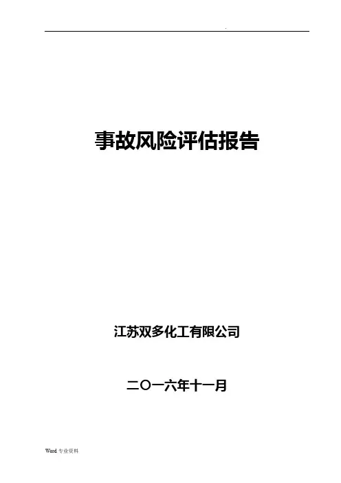 事故风险评估报告