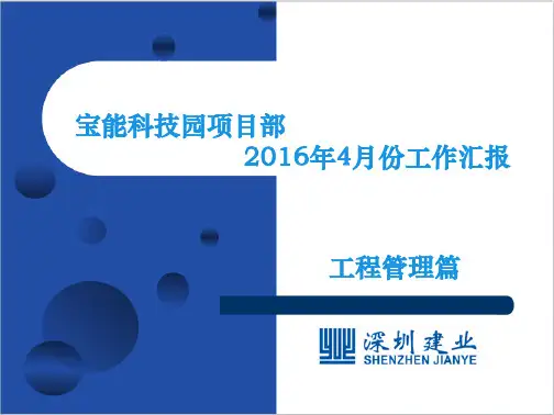 项目部管理汇报月报