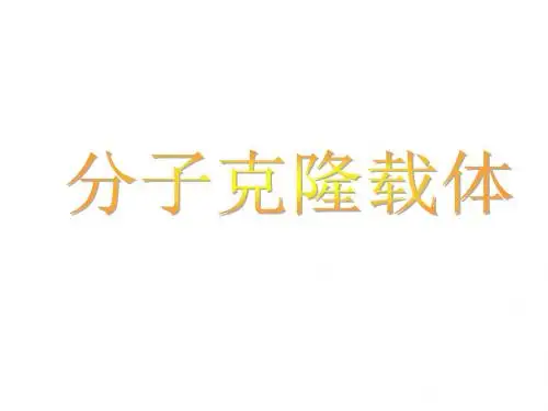 5第五讲分子克隆载体