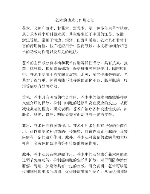 苍术的功效与作用吃法