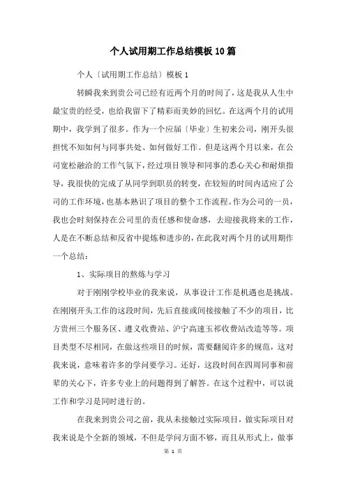 个人试用期工作总结模板10篇