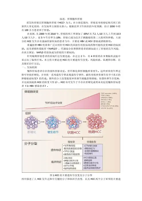 综述：肝细胞性肝癌