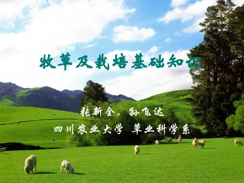 3.牧草及栽培基础知识