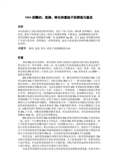 重组质粒的构建转化筛选和鉴定 (2)