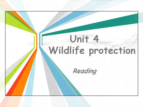 人教版高中英语必修2第四单元reading(共29张PPT)