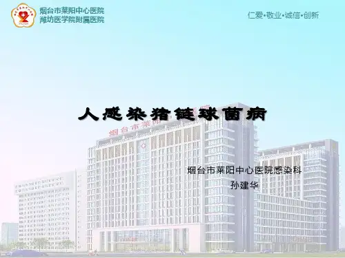 人感染猪链球菌病