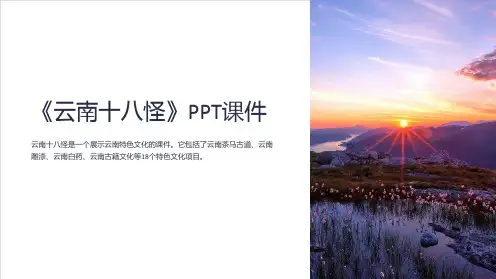 《云南十八怪》课件