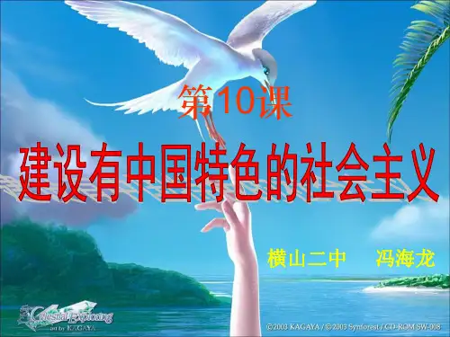 10建设有中国特色的社会主义