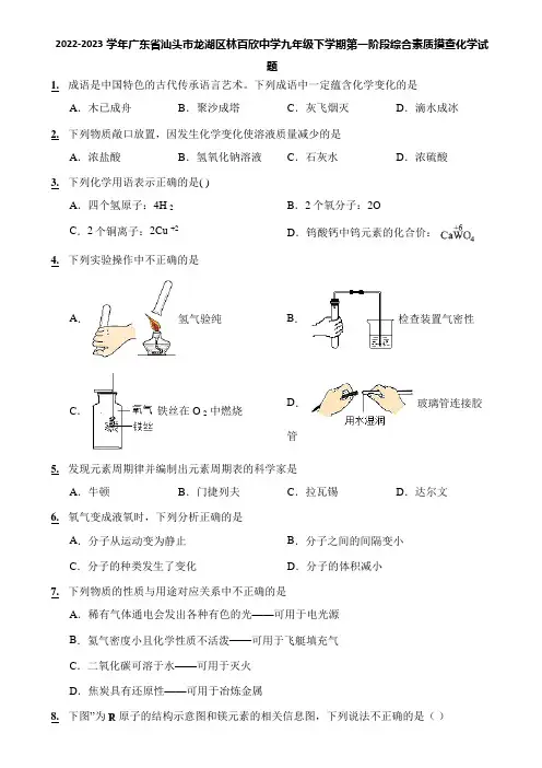 2022-2023学年广东省汕头市龙湖区林百欣中学九年级下学期第一阶段综合素质摸查化学试题