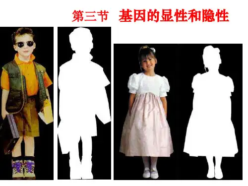 八年级生物下册第七单元第二章第三节基因的显性和隐性课件人教版