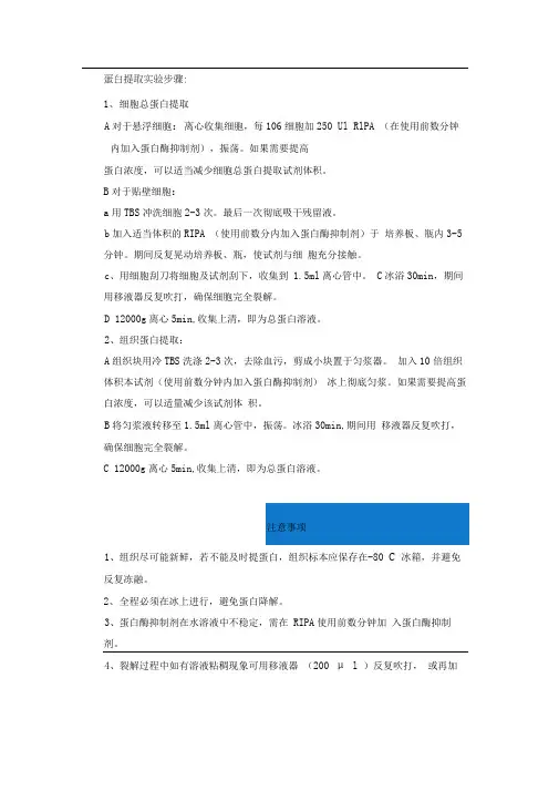 蛋白提取实验步骤