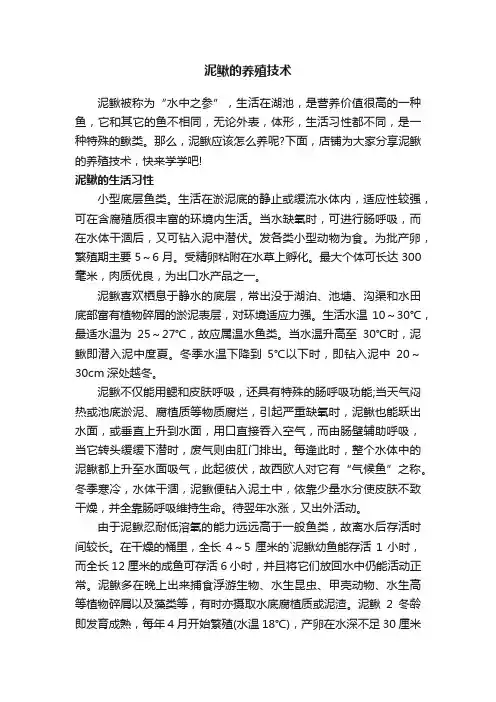 泥鳅的养殖技术